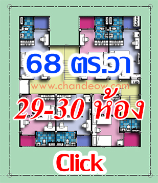 �Ź;�����鹷�