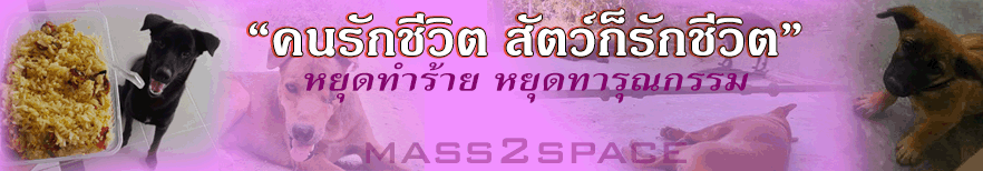 อพาร์ทเม้นท์