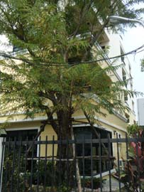 รับสร้างอพาร์ทเม้นท์